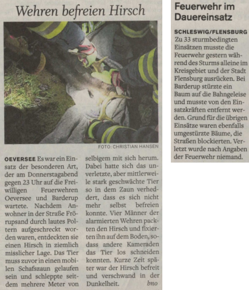 Zeitungsartikel – Einsätze 2020